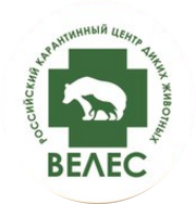 %d0%b1%d0%b5%d0%b7-%d0%b8%d0%bc%d0%b5%d0%bd%d0%b8-1